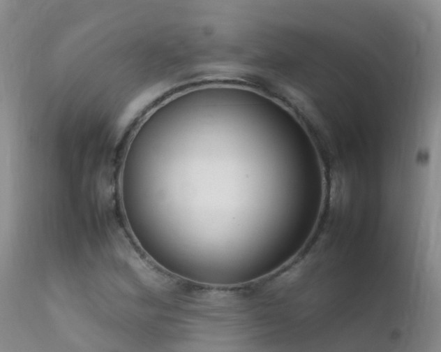 X0000112211164200908141451