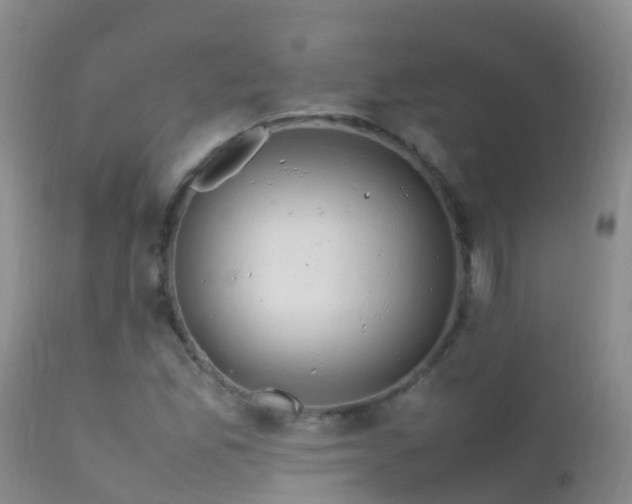 X0000112211165200908141451