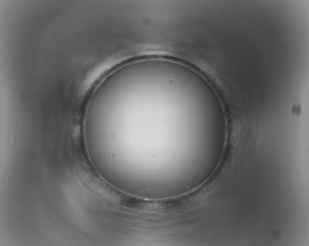 X0000112211167200908141451