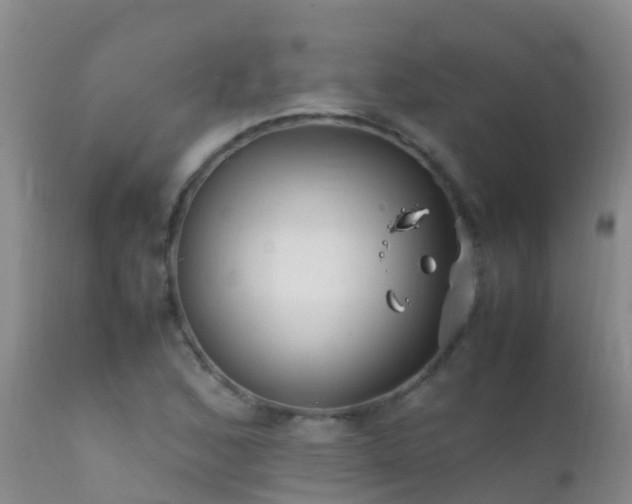 X0000112211168200908141451