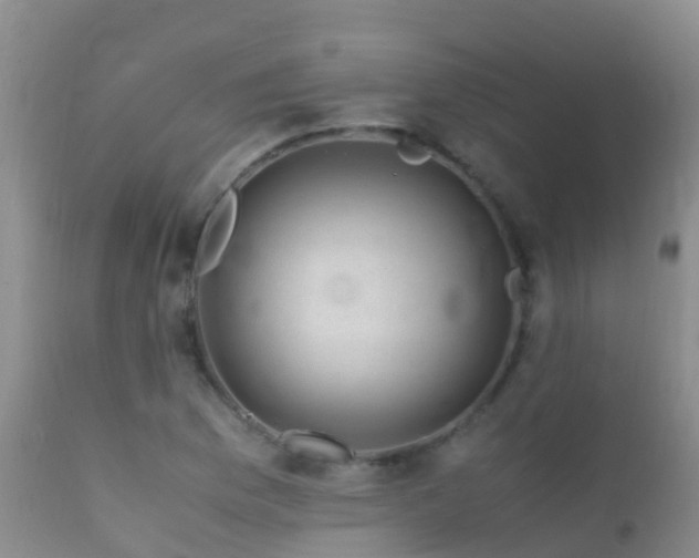 X0000112211169200908141451