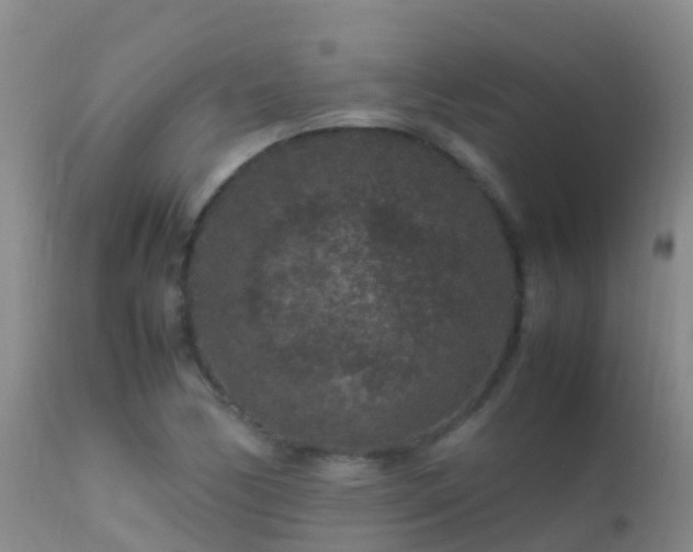 X0000112211170200908141451