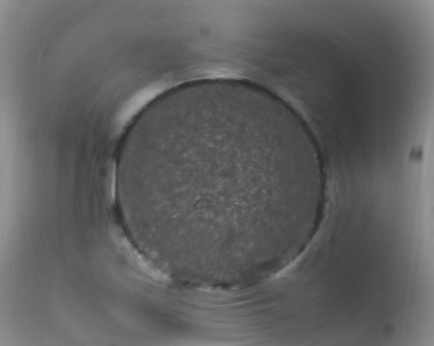 X0000112211171200908141451