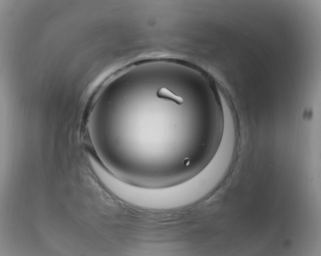 X0000112211173200908141451