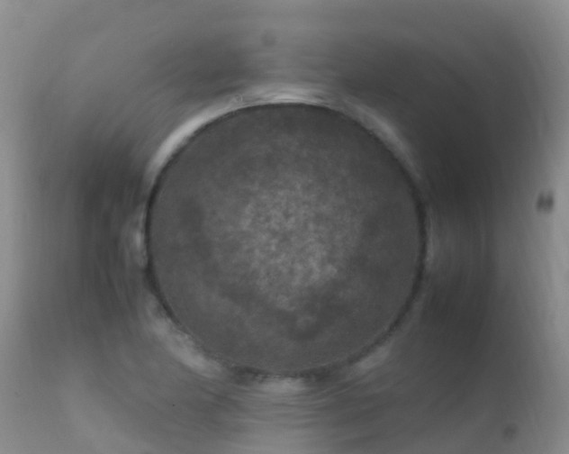 X0000112211174200908141451