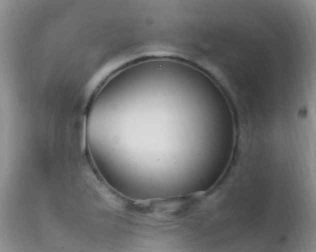 X0000112211175200908141451