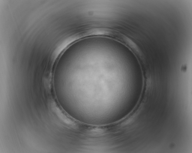 X0000112211178200908141451