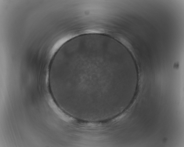 X0000112211179200908141451