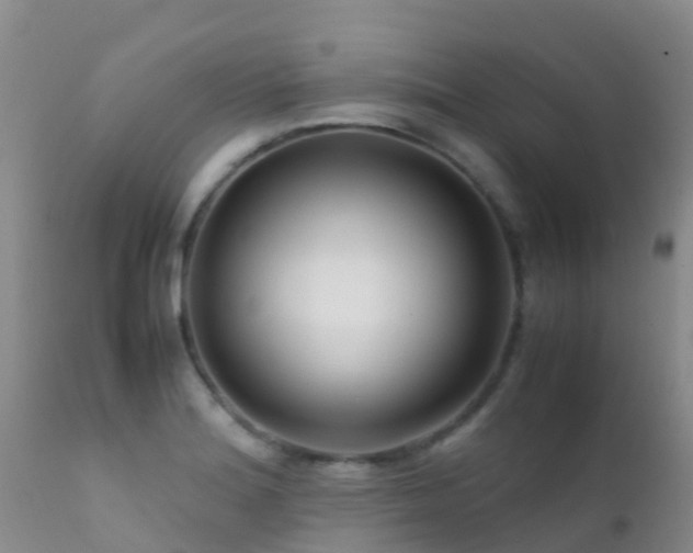 X0000112211180200908141451