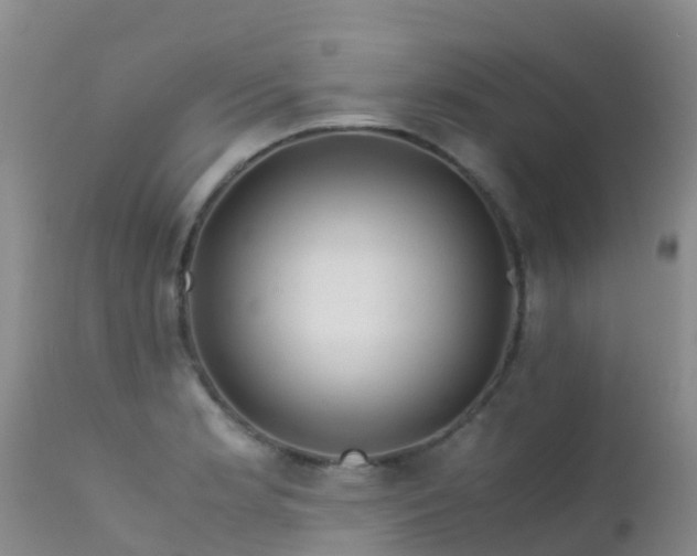 X0000112211181200908141451