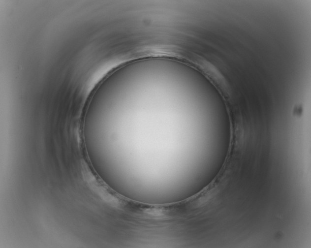 X0000112211182200908141451