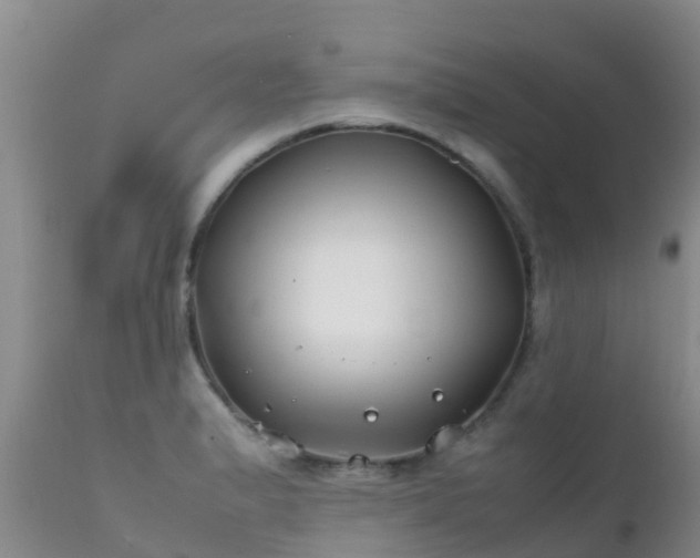 X0000112211183200908141451