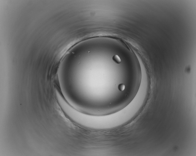 X0000112211185200908141451