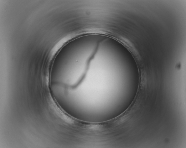 X0000112211188200908141451