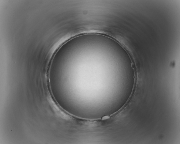 X0000112211189200908141451