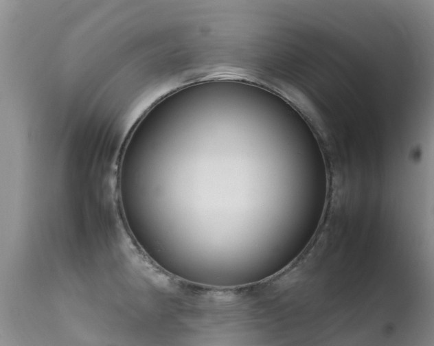 X0000112211190200908141451