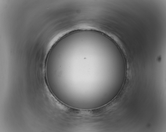 X0000112211191200908141451