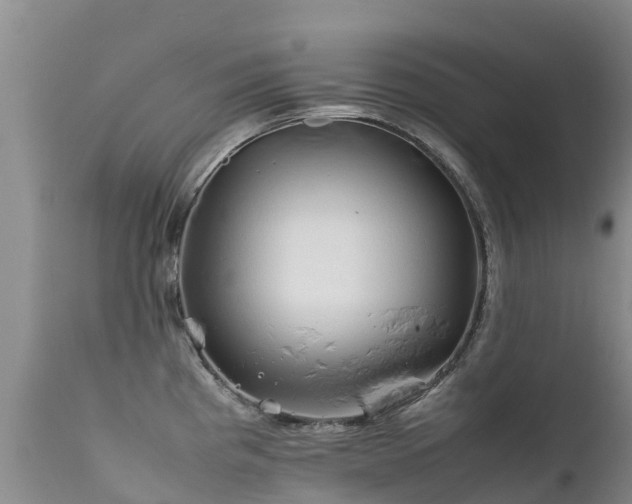 X0000112211193200908141451