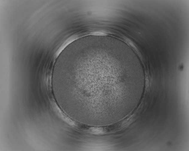 X0000112211194200908141451