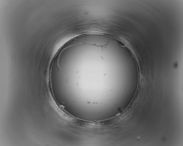 X0000112211195200908141451