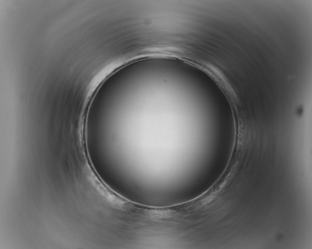 X0000112211196200908141451