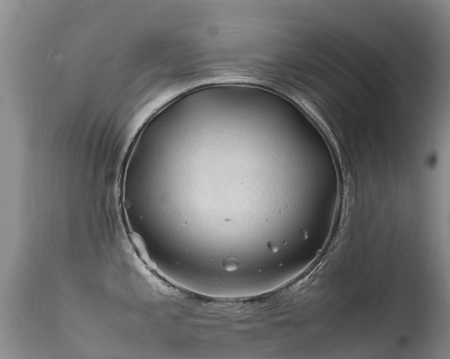 X0000112211197200908141451