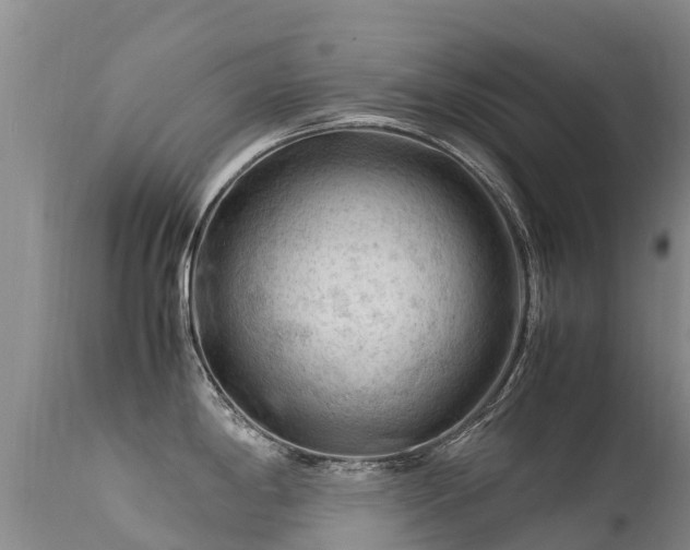 X0000112211198200908141451