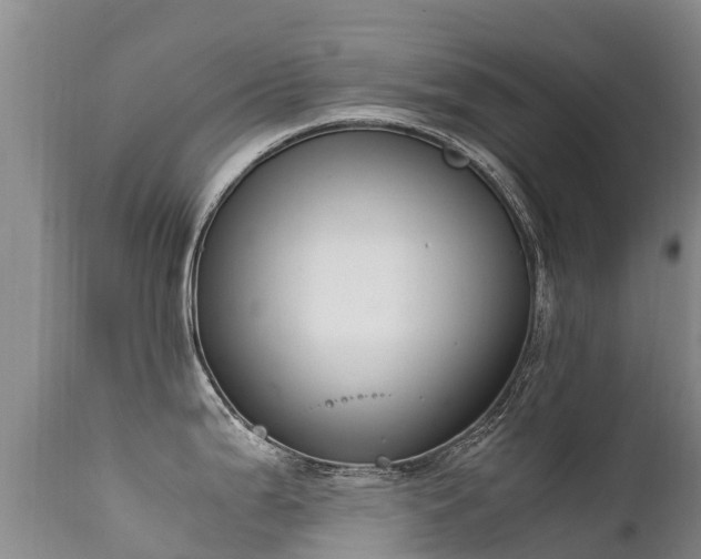 X0000112211199200908141451