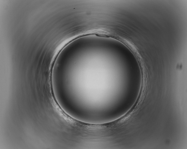 X0000112211200200908141451