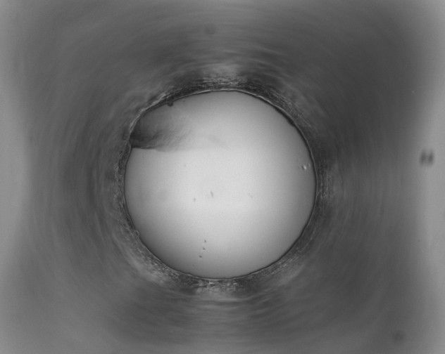 X0000112211201200908141450