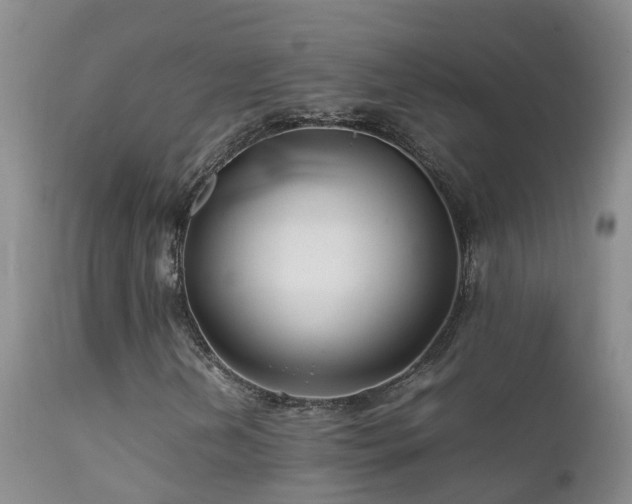 X0000112211202200908141450