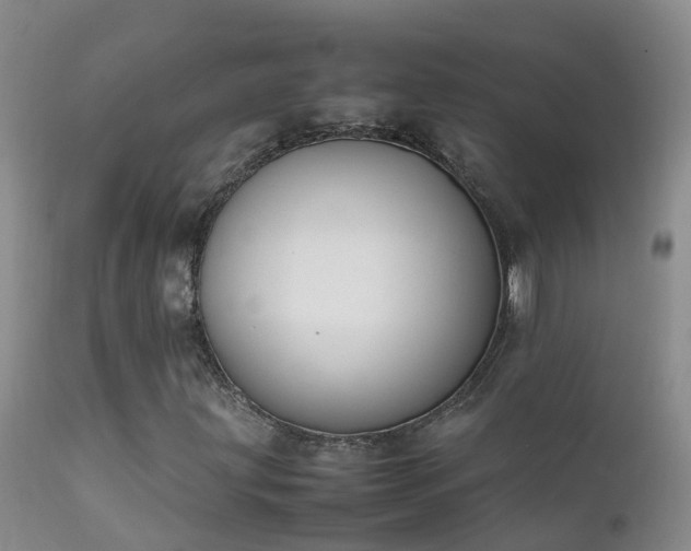 X0000112211203200908141450