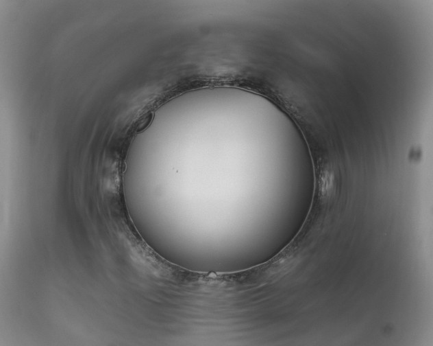 X0000112211204200908141450