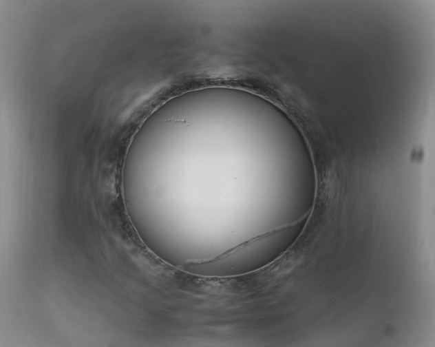 X0000112211205200908141450