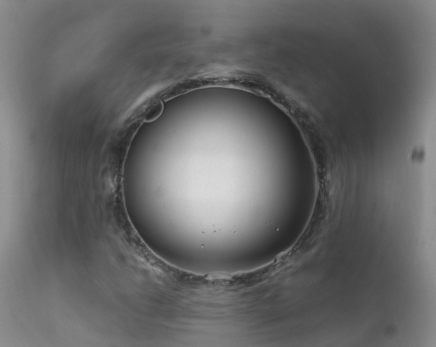 X0000112211206200908141450