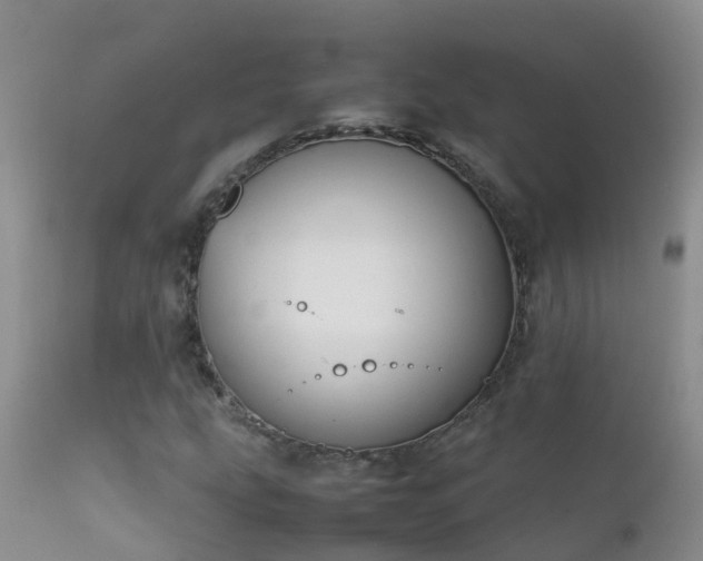 X0000112211207200908141450