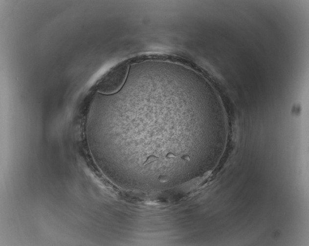 X0000112211208200908141450