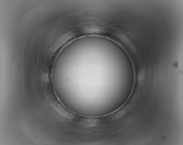 X0000112211209200908141450