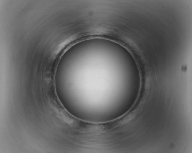 X0000112211210200908141450