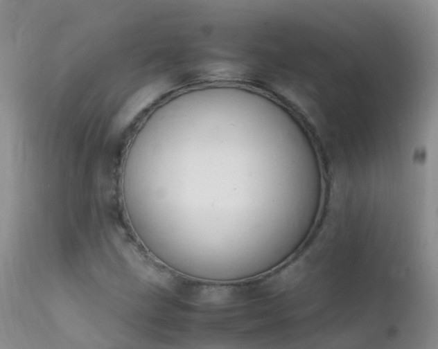 X0000112211211200908141450