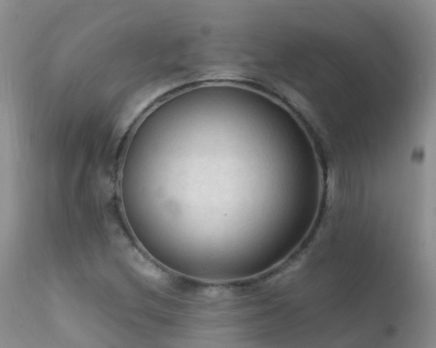 X0000112211212200908141450