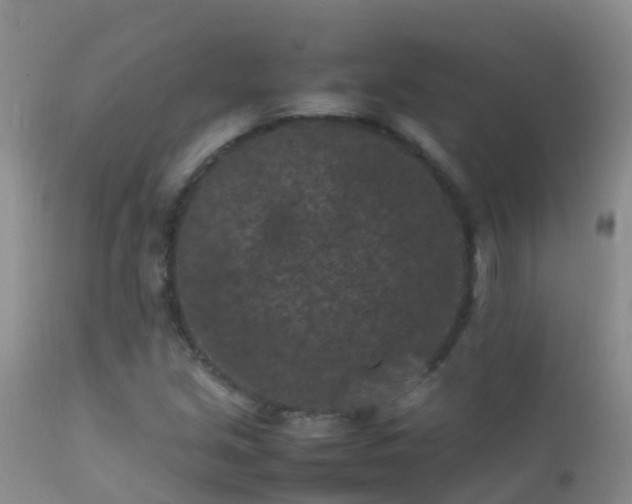 X0000112211213200908141450