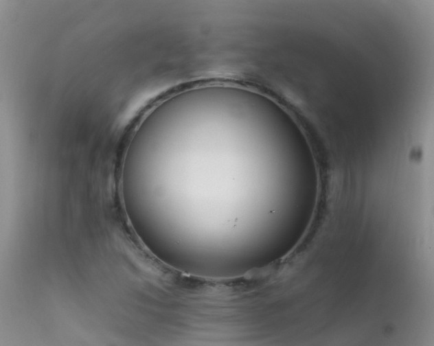 X0000112211214200908141450