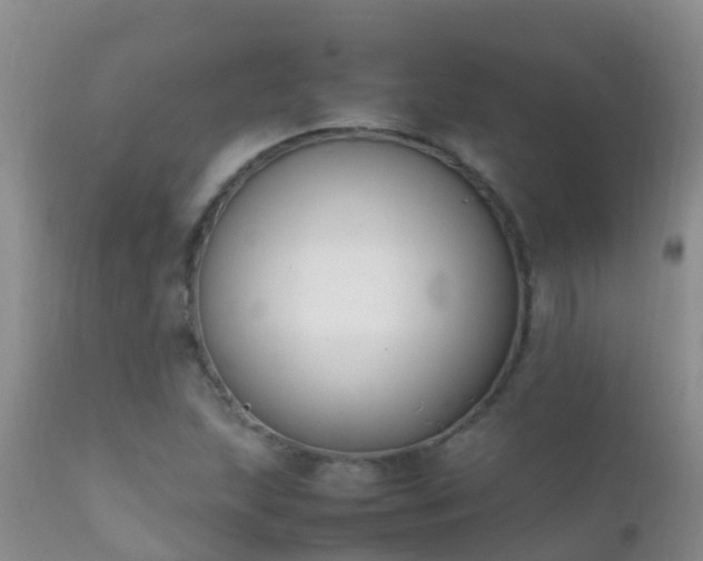 X0000112211215200908141450