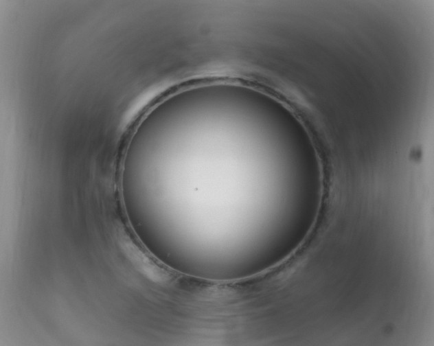 X0000112211216200908141450