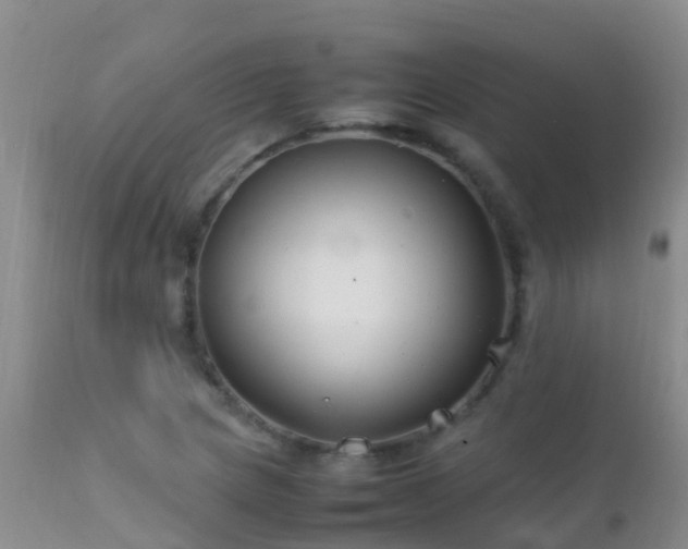 X0000112211217200908141450