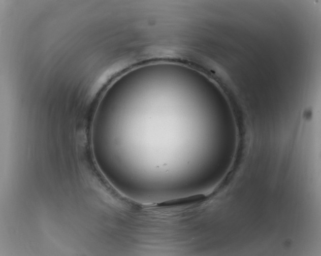 X0000112211218200908141450