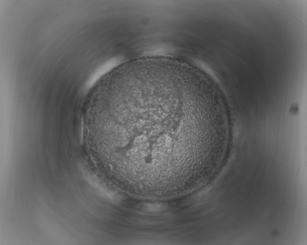 X0000112211219200908141450