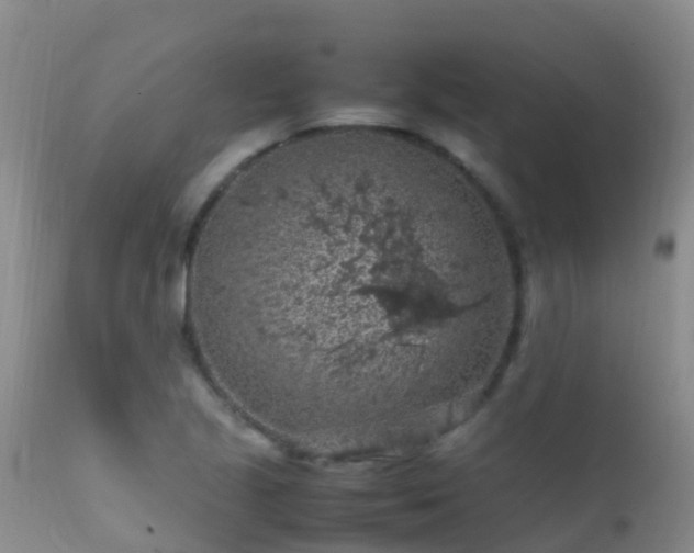 X0000112211221200908141450