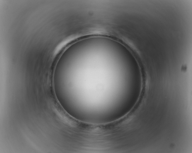 X0000112211222200908141450